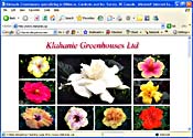 klahanie.ca
